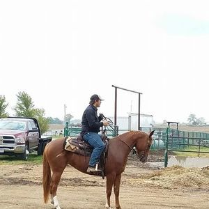 Meet your Posher, Jake